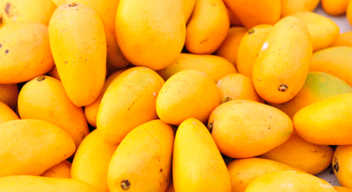 ¿Cómo comprar mangos de alta calidad en línea?
